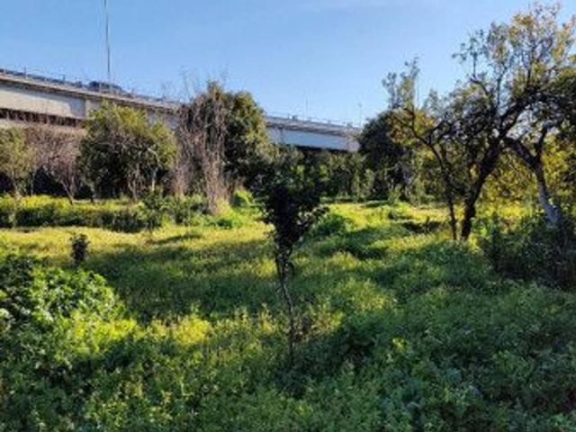 Terreno in vendita a Calabria, Reggio Calabria