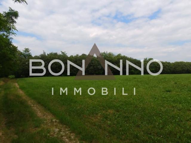 Terreno in vendita a Fonte, Riese Pio X