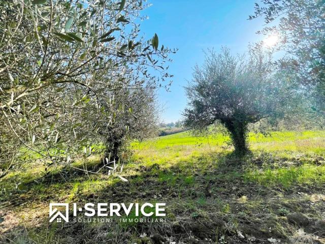 Terreno in vendita a Rimini, Reggio Emilia