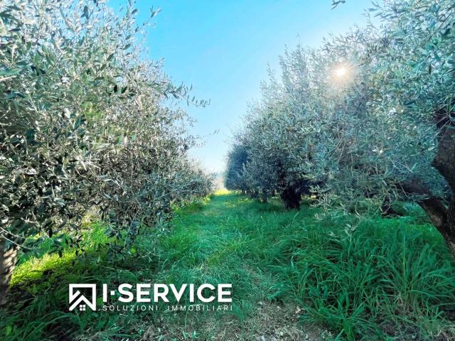 Terreno in vendita a Gaiofana, Rimini