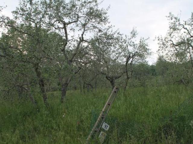 Terreno in vendita a Rimini, Reggio Emilia