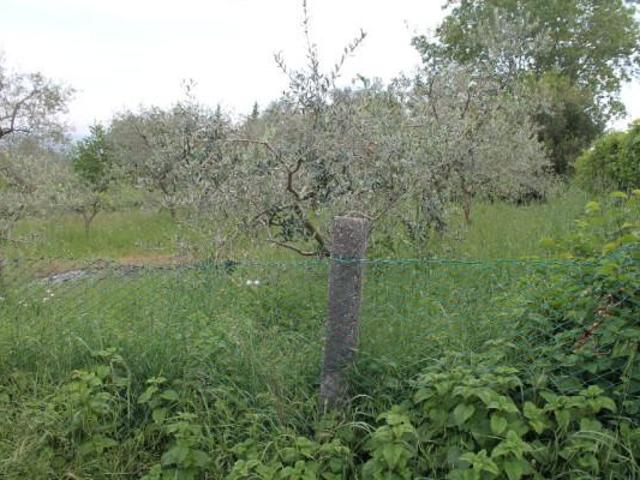 Terreno in vendita a Rimini, Reggio Emilia