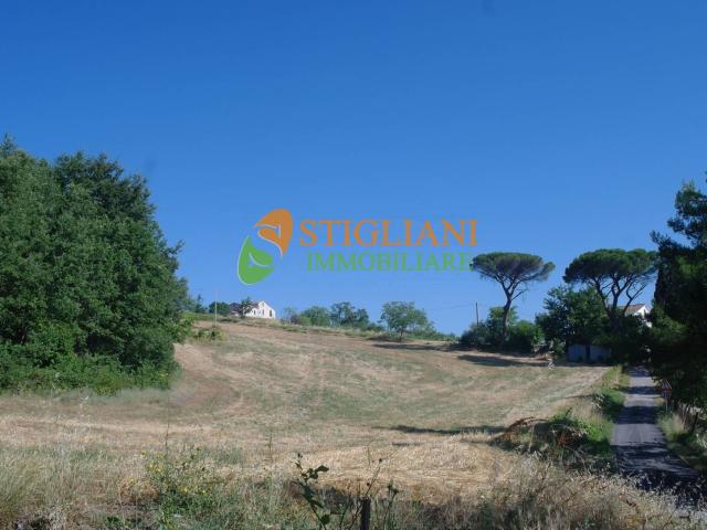 Terreno in vendita a Ripalimosani, Molise