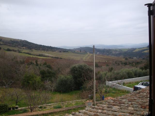Terreno in vendita a Riparbella, Toscana