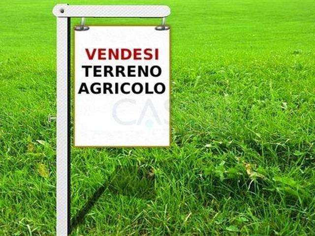Terreno in vendita a Marche, Ascoli Piceno