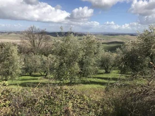 Terreno in vendita a Chianni, Toscana