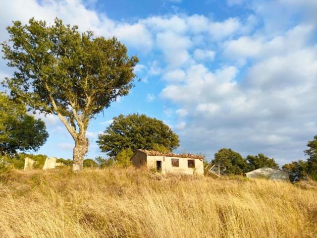 Terreno in vendita a Unione dei Comuni Montani Amiata Grossetana, Roccalbegna