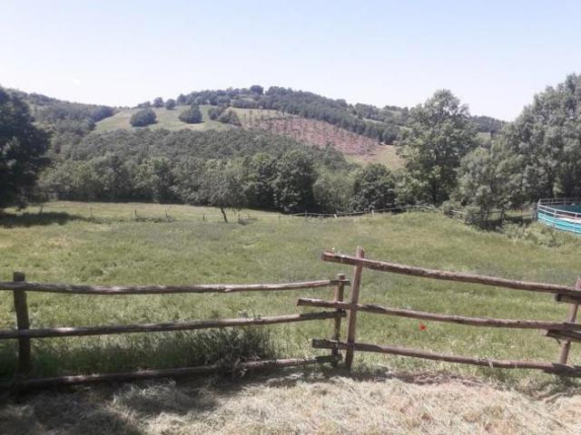 Terreno in vendita a Unione dei Comuni Montani Amiata Grossetana, Roccalbegna