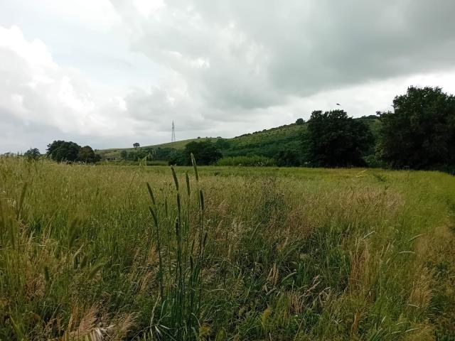 Terreno in vendita a Roccastrada, Toscana