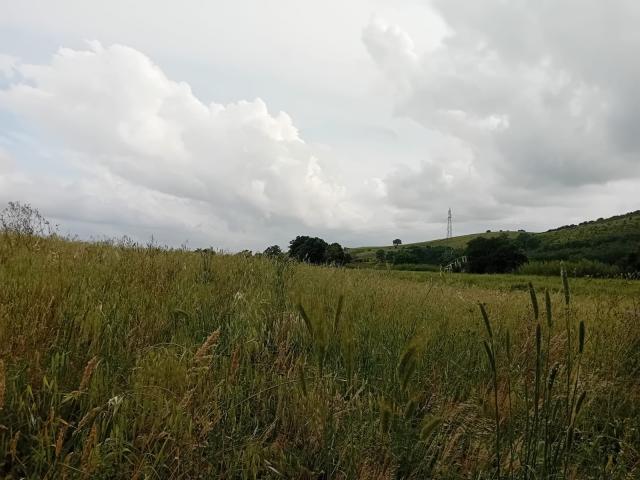 Terreno in vendita a Roccastrada, Toscana