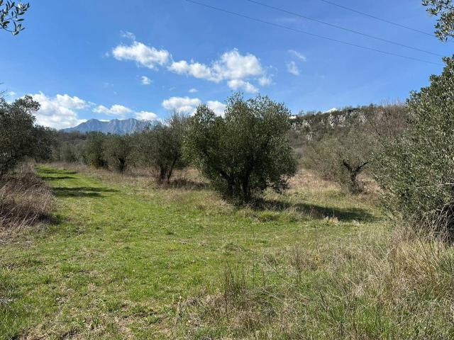 Terreno in vendita a Rocchetta A Volturno, Molise