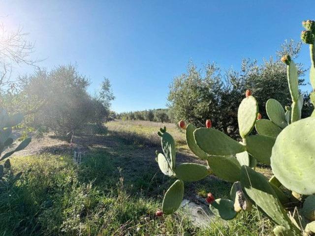 Terreno in vendita a Villa Verde, Roma Capitale