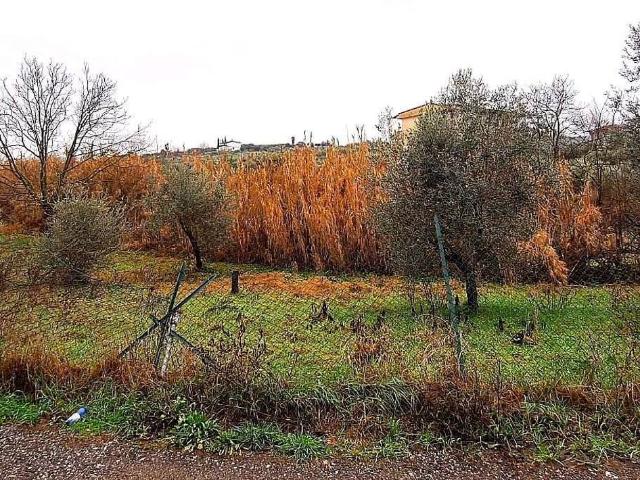 Terreno in vendita a Finocchio, Roma Capitale