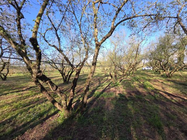 Terreno in vendita a Campo Maggiore, Ronciglione