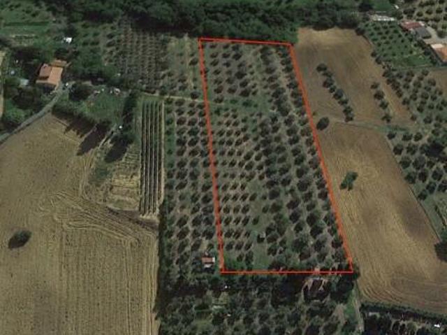 Terreno in vendita a Rosignano Marittimo, Toscana