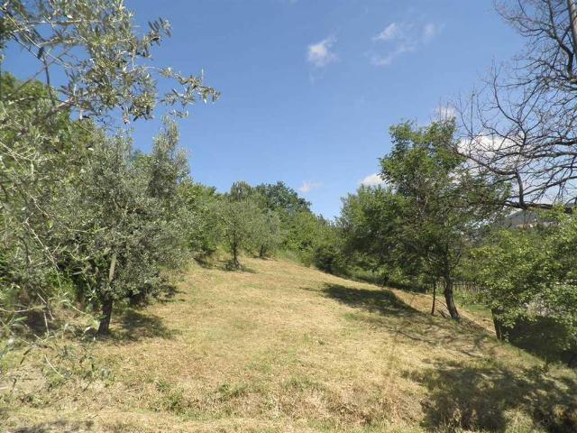 Terreno in vendita a Rosignano Marittimo, Toscana