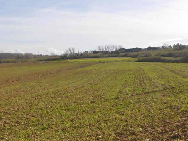 Terreno in vendita a Rosignano Marittimo, Toscana