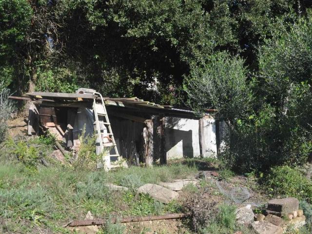 Terreno in vendita a Rosignano Marittimo, Toscana