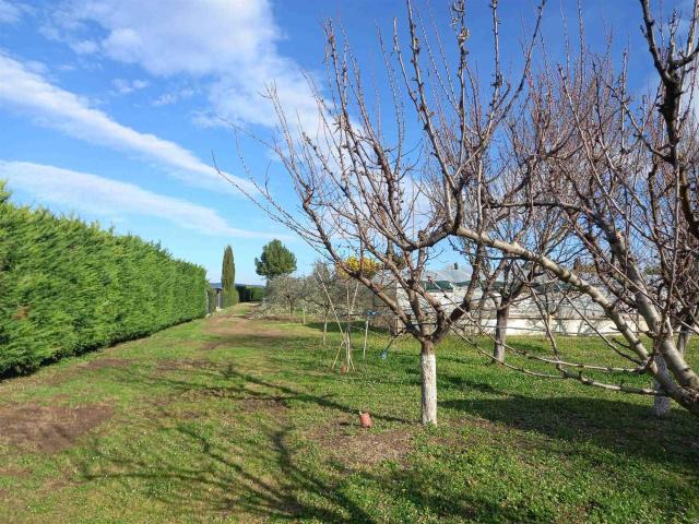 Terreno in vendita a Rosignano Marittimo, Toscana