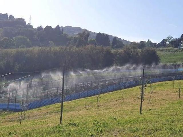 Terreno in vendita a Castelnuovo Misericordia, Rosignano Marittimo