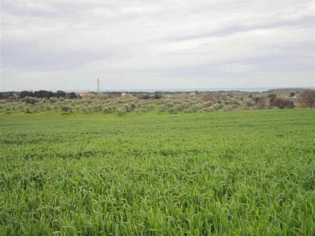 Terreno in vendita a Rosignano Marittimo, Toscana