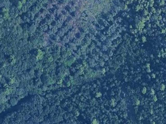 Terreno in vendita a Rosignano Marittimo, Toscana