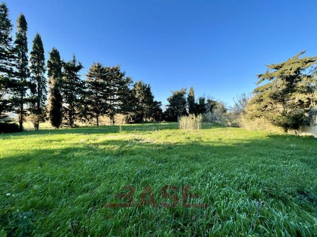 Terreno in vendita a Rosignano Marittimo, Toscana