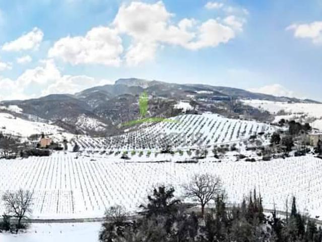 Terreno in vendita a Marche, Ascoli Piceno