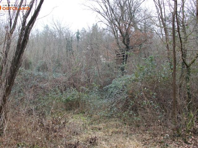 Terreno in vendita a Sagrado, Friuli-Venezia Giulia