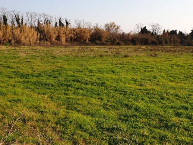 Terreno in vendita a Giffoni Valle Piana, Campania