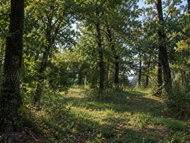 Terreno in vendita a Salsomaggiore Terme, Parma