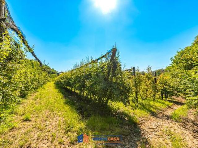 Terreno in vendita a Piemonte, Cuneo