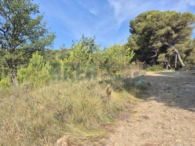 Terreno in vendita a San Bartolomeo Al Mare, Liguria
