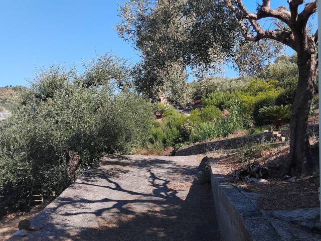 Terreno in vendita a San Biagio Della Cima, Liguria