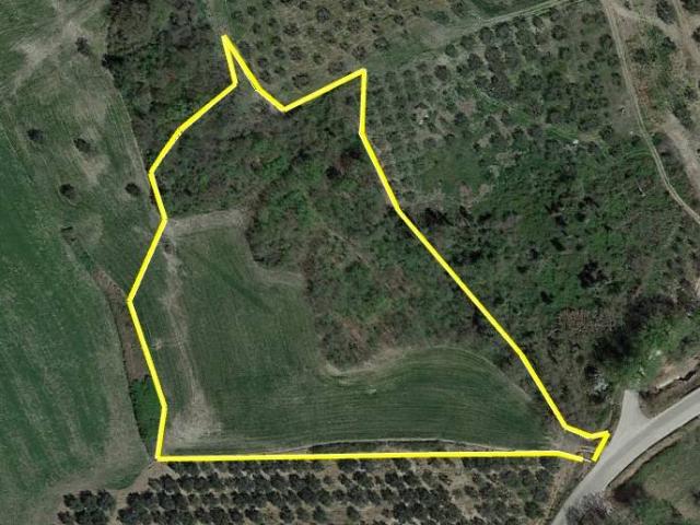 Terreno in vendita a Furci, Abruzzo