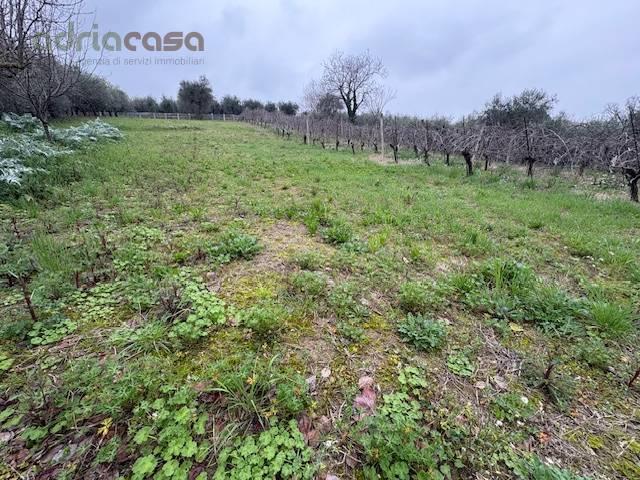Terreno in vendita a San Clemente, Reggio Emilia