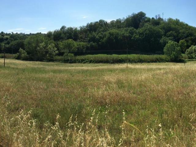 Terreno in vendita a Marche, Pesaro E Urbino
