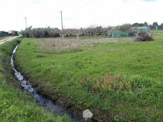 Terreno in vendita a Cascina, Toscana