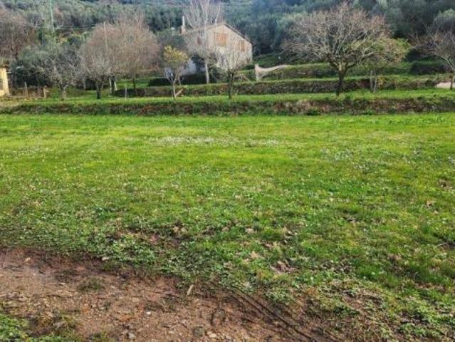 Terreno in vendita a San Giovannialla Vena, Toscana