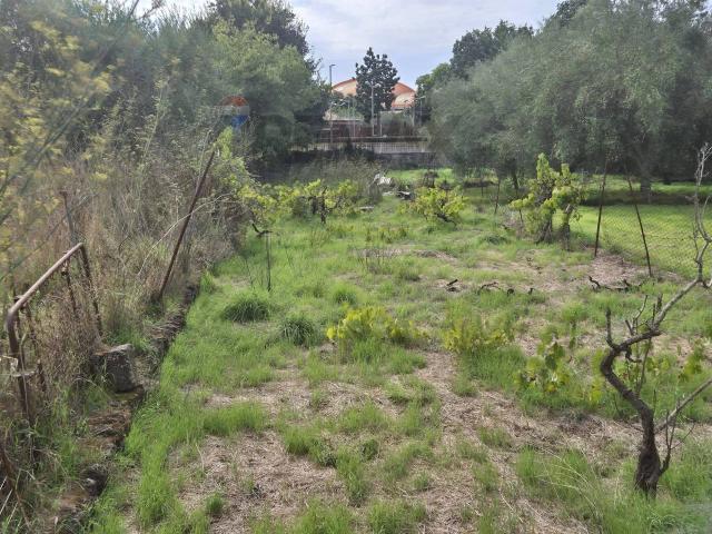 Terreno in vendita a Belfiore, Valverde