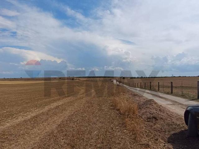 Terreno in vendita a Puglia, Foggia