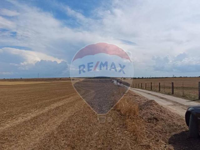 Terreno in vendita a San Giovanni Rotondo, Foggia
