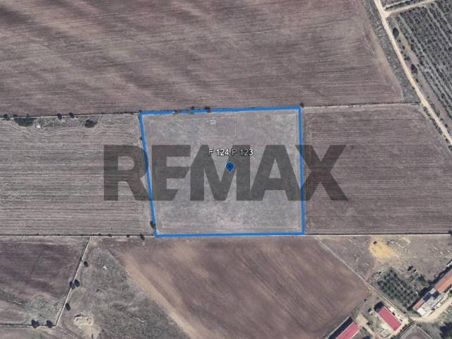 Terreno in vendita a Puglia, Foggia