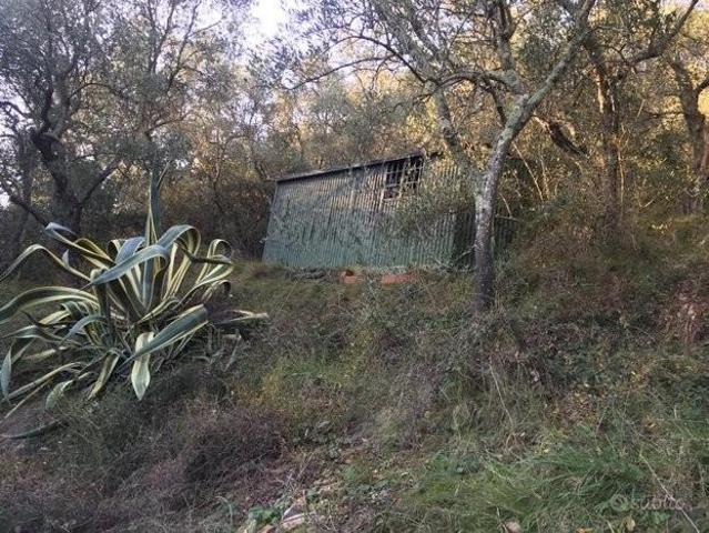 Terreno in vendita a Asciano, San Giuliano Terme