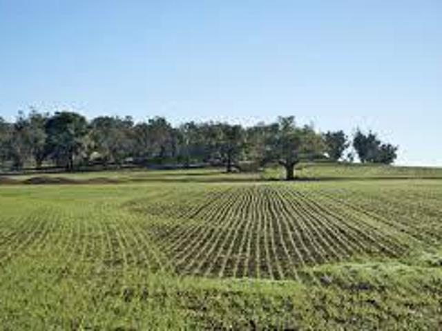 Terreno in vendita a San Giuliano Terme, Toscana