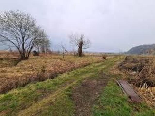 Terreno in vendita a San Giuliano Terme, Toscana