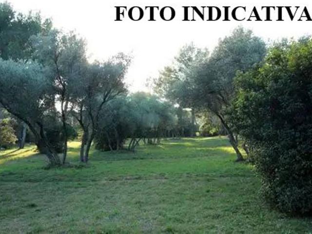 Terreno in vendita a Orzignano, San Giuliano Terme