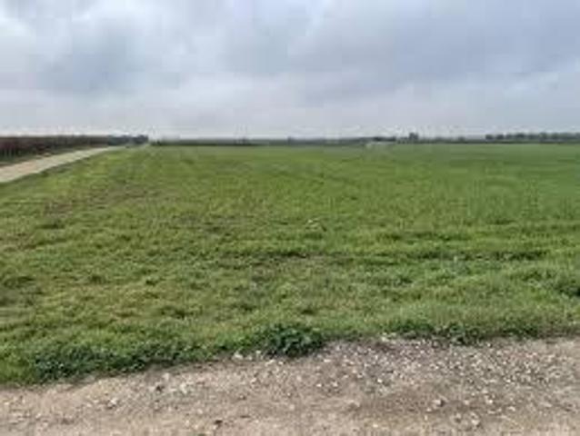 Terreno in vendita a Gello, San Giuliano Terme