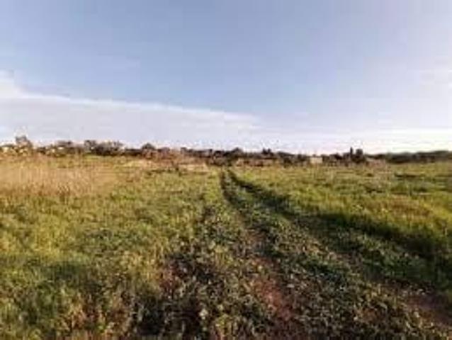 Terreno in vendita a Gello, San Giuliano Terme