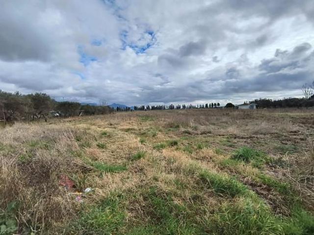 Terreno in vendita a Gello, San Giuliano Terme